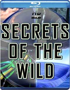 National Geographic Secrets of the Wild 2013 720P TR