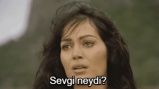 nl15D5.gif