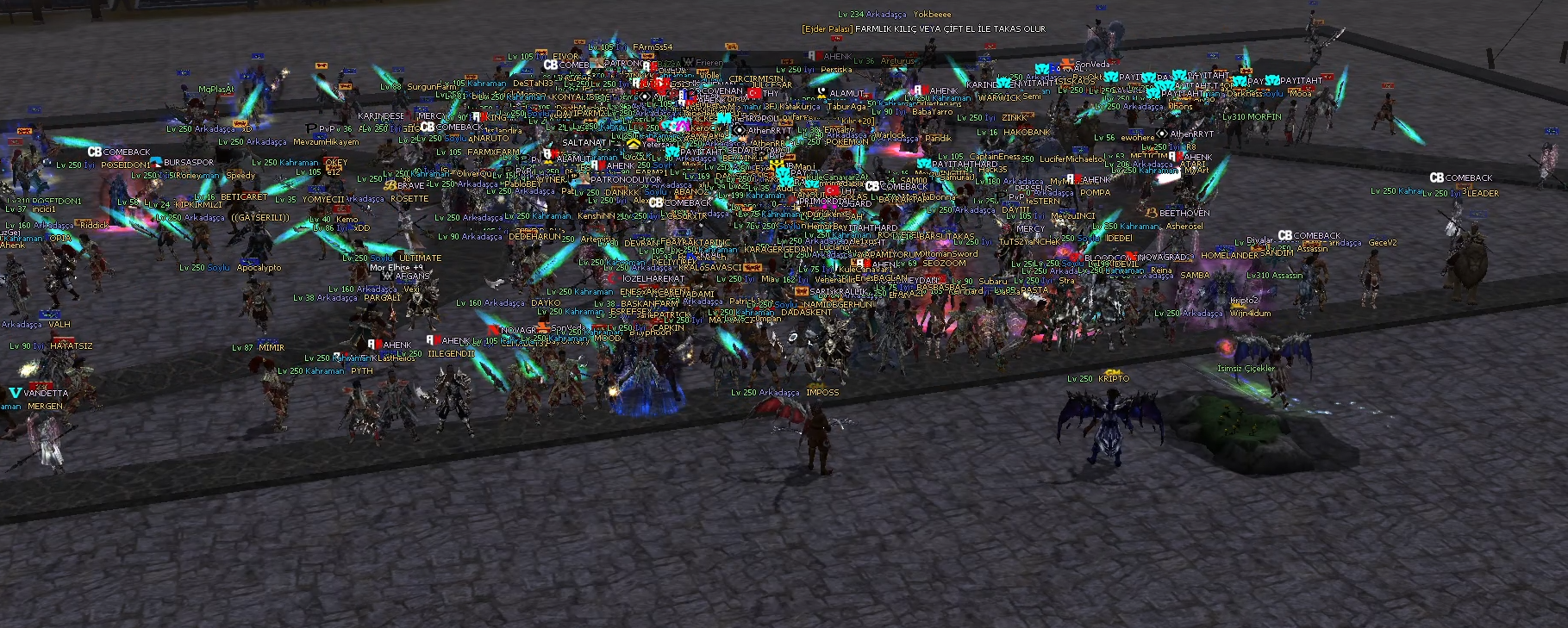 nwse8r7f.png