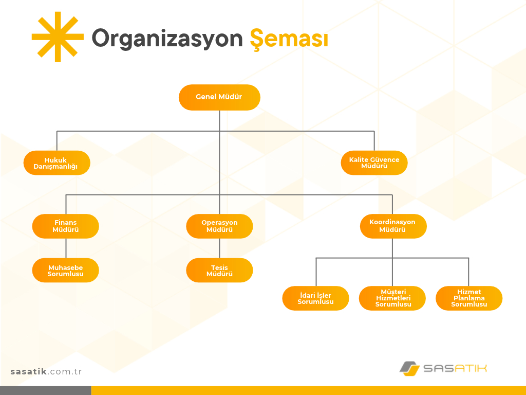 Sas Organizasyon Şeması (1).jpg