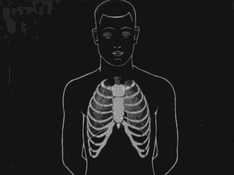 oXmXNq.gif