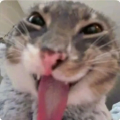 ofimltf.png