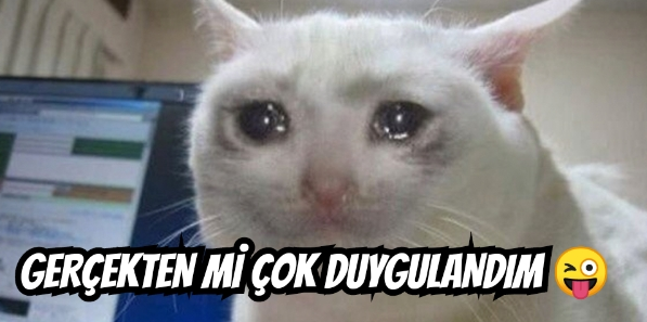 oizli00.png