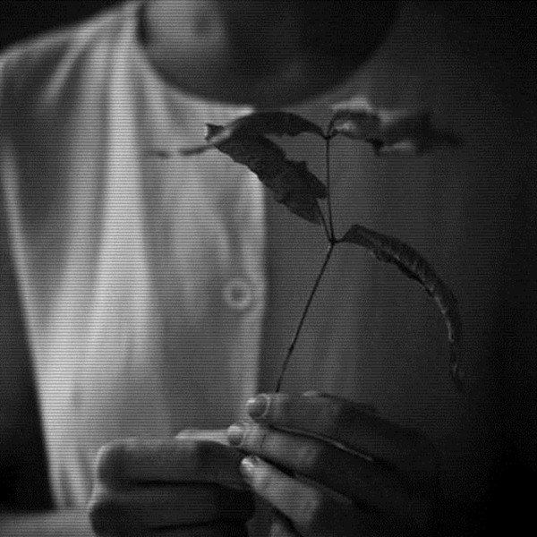 ღ İlk Xəbərim ღ––––•(-•buna yaşamaq demək OLarsa.•-)•––––
