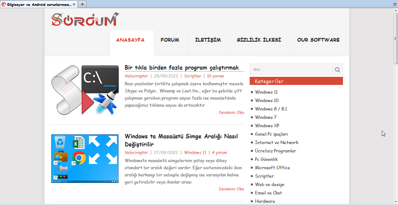 Resim