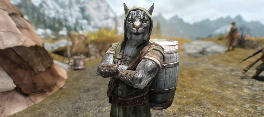 Immersive citizens skyrim что это