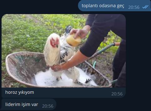 q7z0irk.jpg