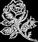 qGQAAD.gif