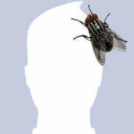 qGkA23.jpg