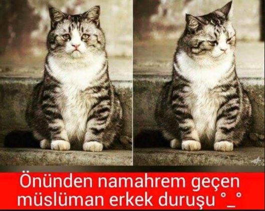 [Resim: qJ7D7d.jpg]