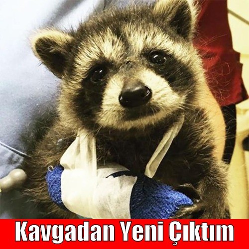 qdRlJ3.jpg