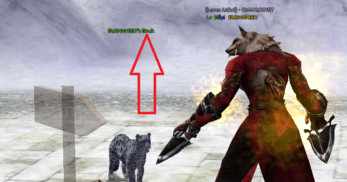 qv0Q6Q.png