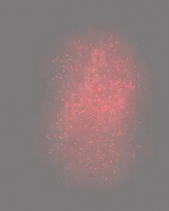 qv96Jd.gif
