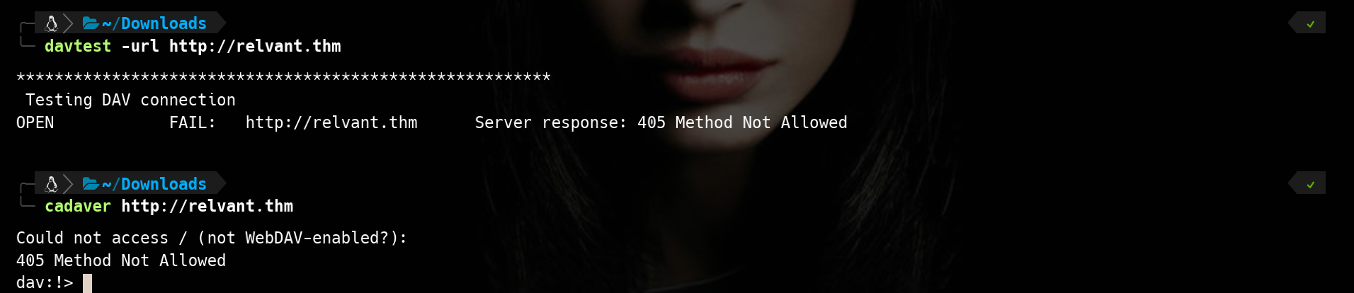 qxet6rx.png