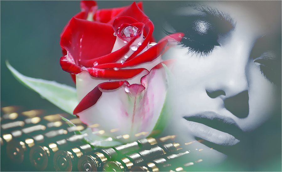 Photoshop Cs6 Mixed