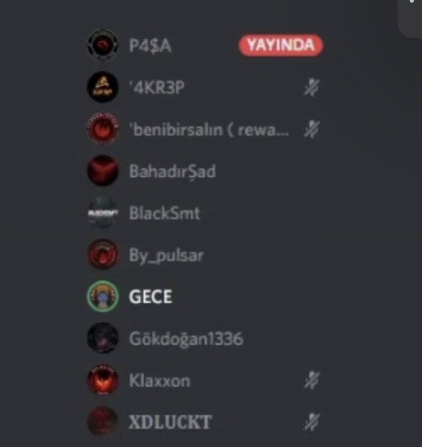 r9z7vpt.jpg