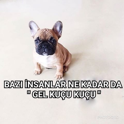 rOkvLV.jpg