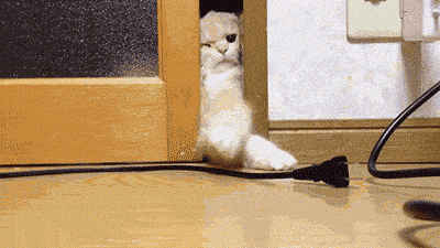 rOrPLV.gif
