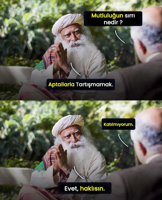 rnlyf31.png