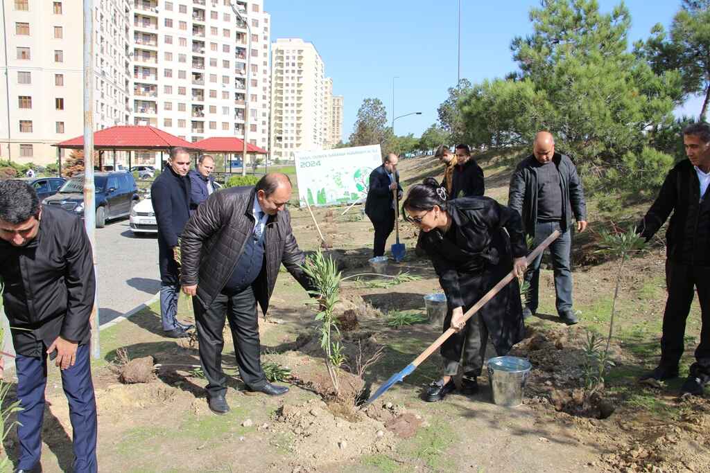 Səbail rayonunda növbəti ağacəkmə aksiyası keçirildi