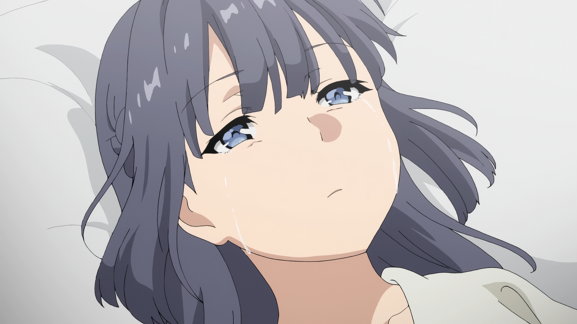 ryyvxat Seishun Buta Yarou wa Yumemiru Shoujo no Yume wo Minai 2019