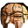 sr9lx6r.png