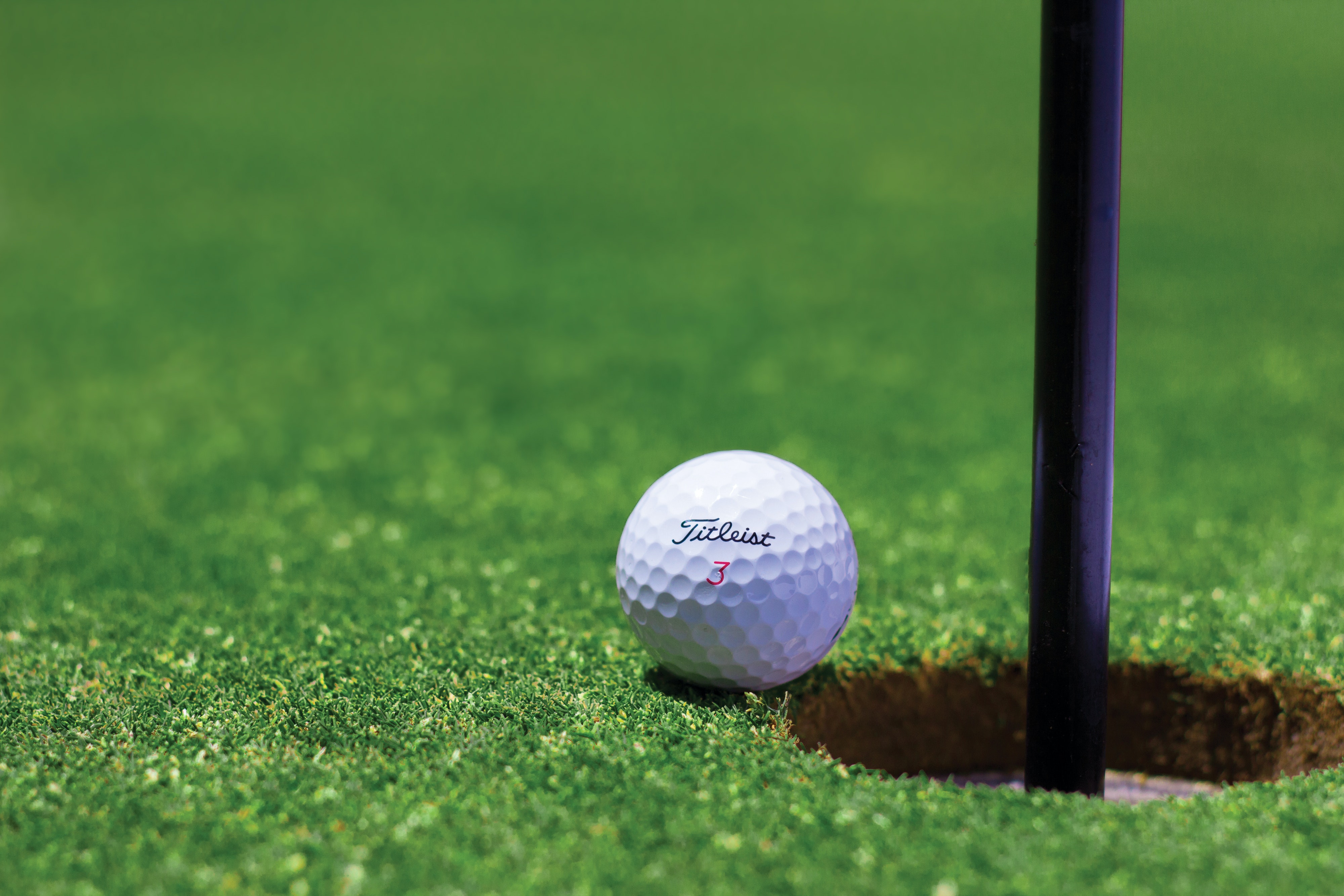 #A Guide to Setting up Putting Green in Your Backyard
