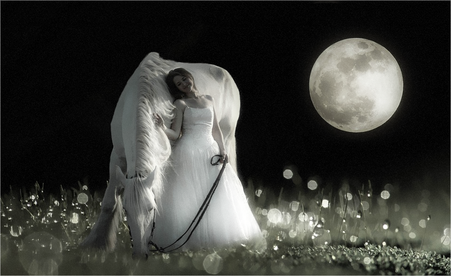 Photoshop Cs6 Mixed