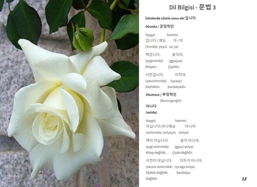 Korece Öğrenelim - Sayfa 5 V6gbQ6