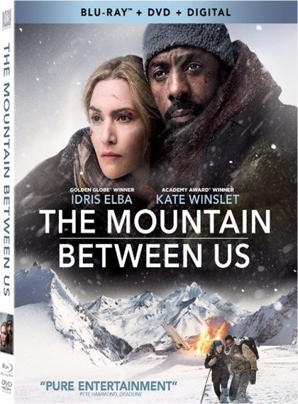 Aramızdaki Sözler – The Mountain Between Us | 2017 | 1080p (TR-EN)