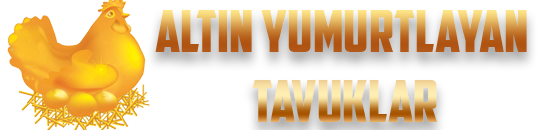 vXngk6.png