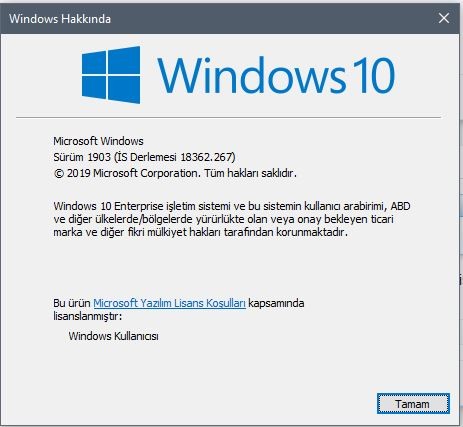 Windows 10 1903 güncellemesini indirin