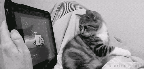 y0BPja.gif