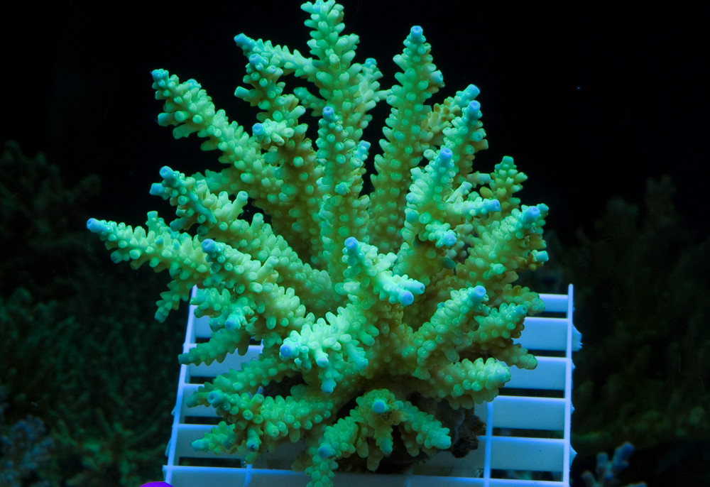 y651X9.jpg