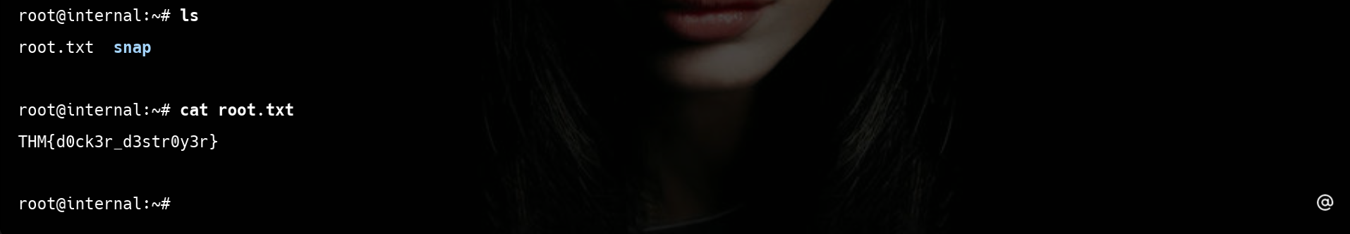 yjtfjv3.png