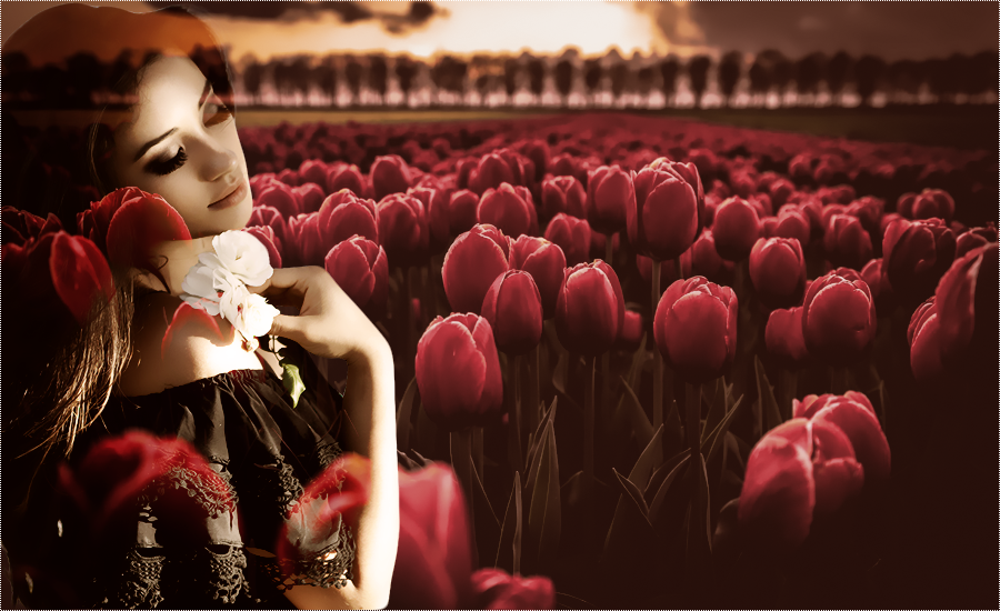 Photoshop Cs6 Mixed