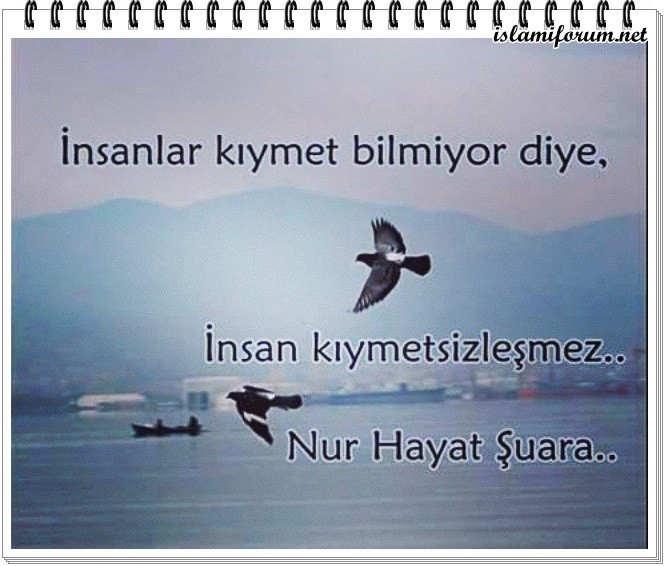 [Resim: yzNPdj.jpg]