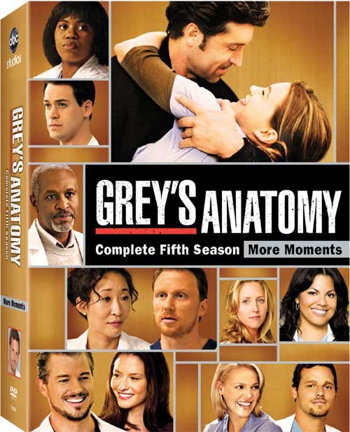 Grey’s Anatomy 5.Sezon Tüm Bölümleri indir