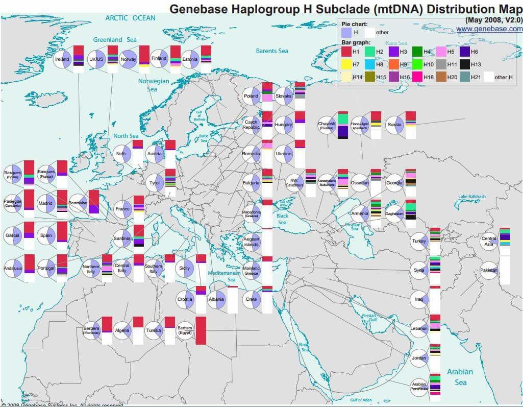 Гаплогруппа h1. Гаплогруппы Armenian МТДНК. Гаплогруппы МТДНК карта. Гаплогруппа h МТДНК.