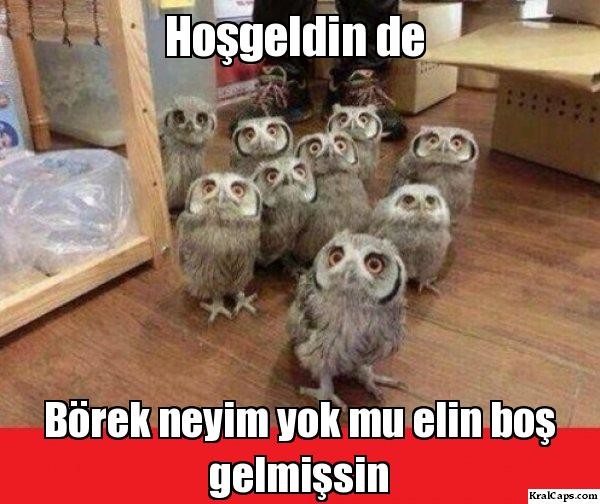 zGJVM7.jpg