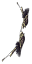 zJMRMR.png