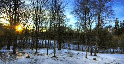 zJYG04.gif